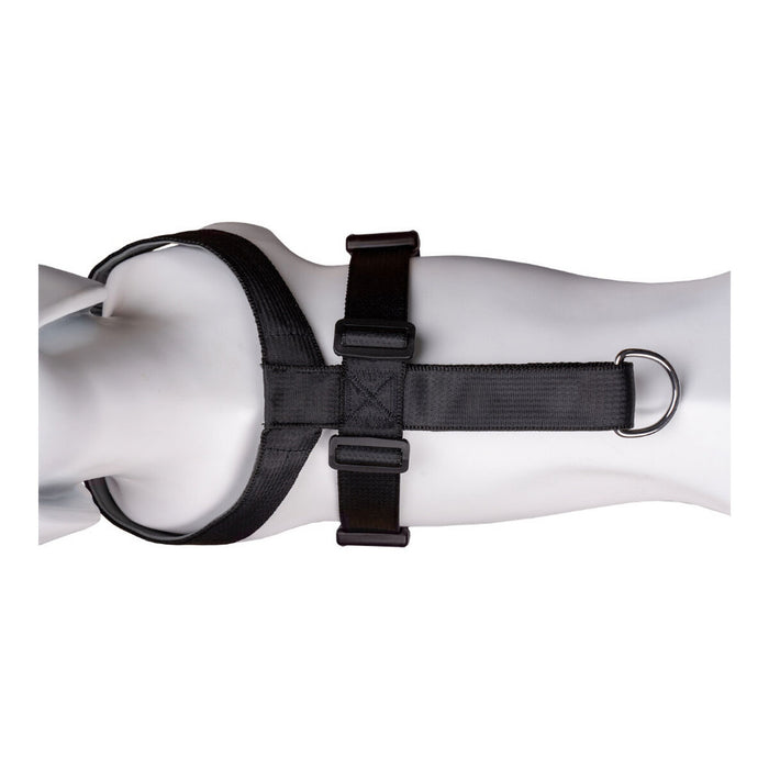 V9H0CF92EB06C2A25C085610E53F601E374R2354083P8