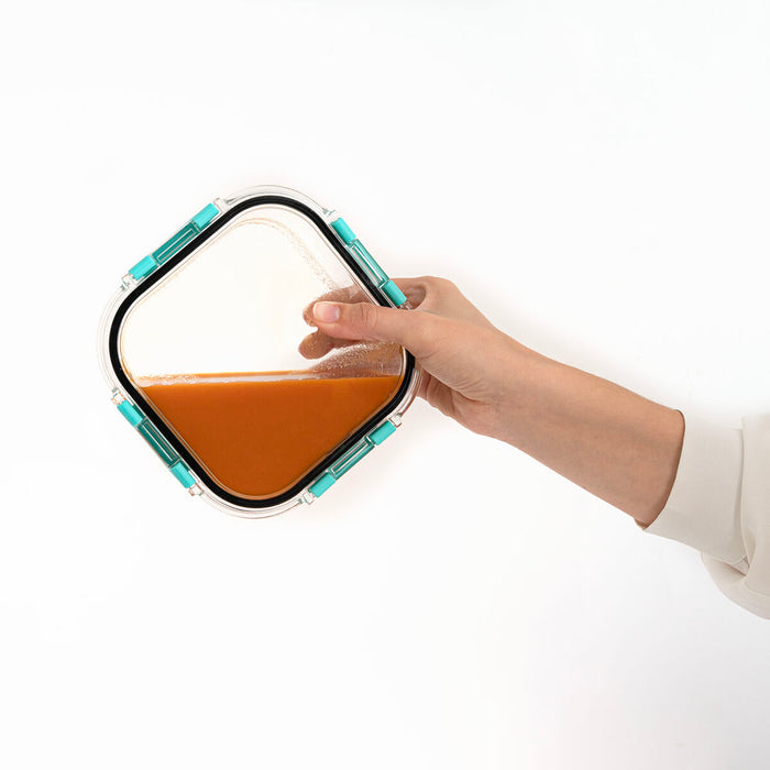 V8HC95EF56961C8ED80981144937B910666R6206349P4