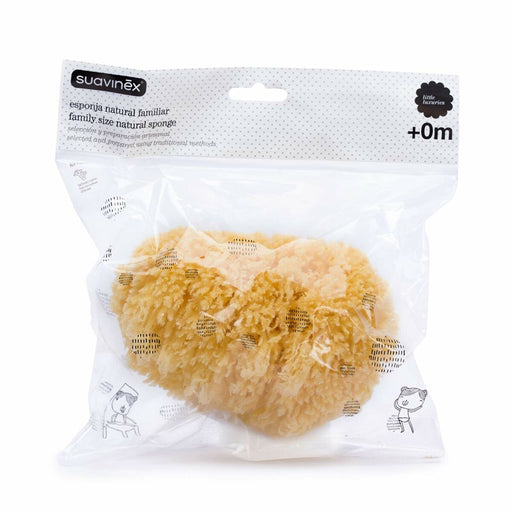 V8HE483A09D6EFF436BF004648B5B3C8E86R4325880P2