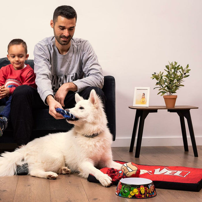 V7HB82B9E8A020383D4E6EF1BF58C315609R3945781P6