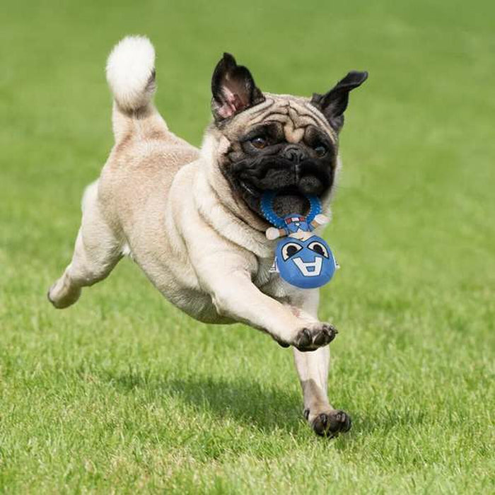 V5H20886313C0D1E23925AFC8D28A455B1DR5698364P4