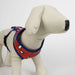V6H1D1CBCEBF40CA7F89DAF071B86592E00R6604121P5