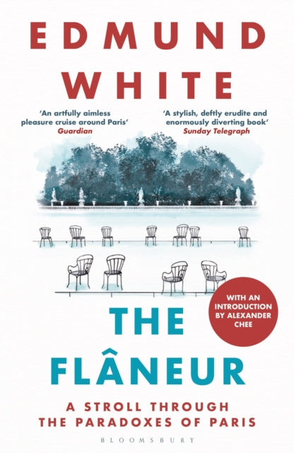 The Flaneur : A Stroll through the Paradoxes of Paris