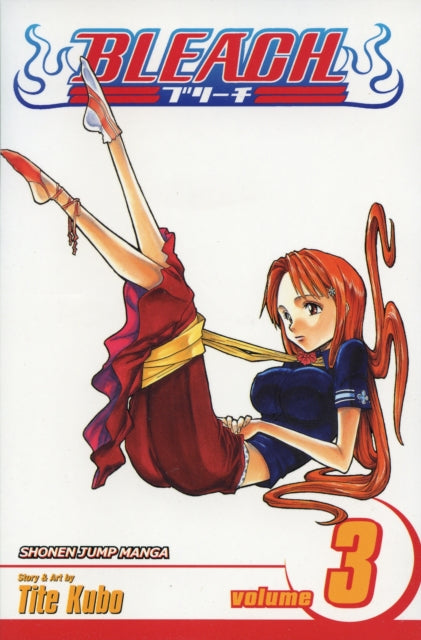 Bleach, Vol. 3 : Volume 3