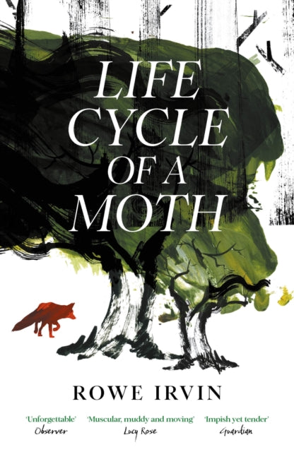 Life Cycle of a Moth